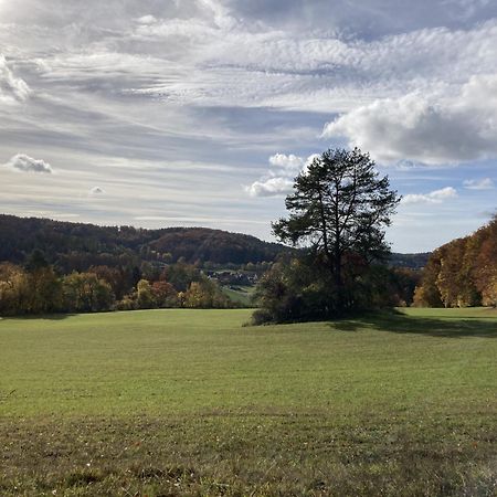 Appartamento Brunnerhof Urlaub Auf Dem Land Hartenstein  Esterno foto
