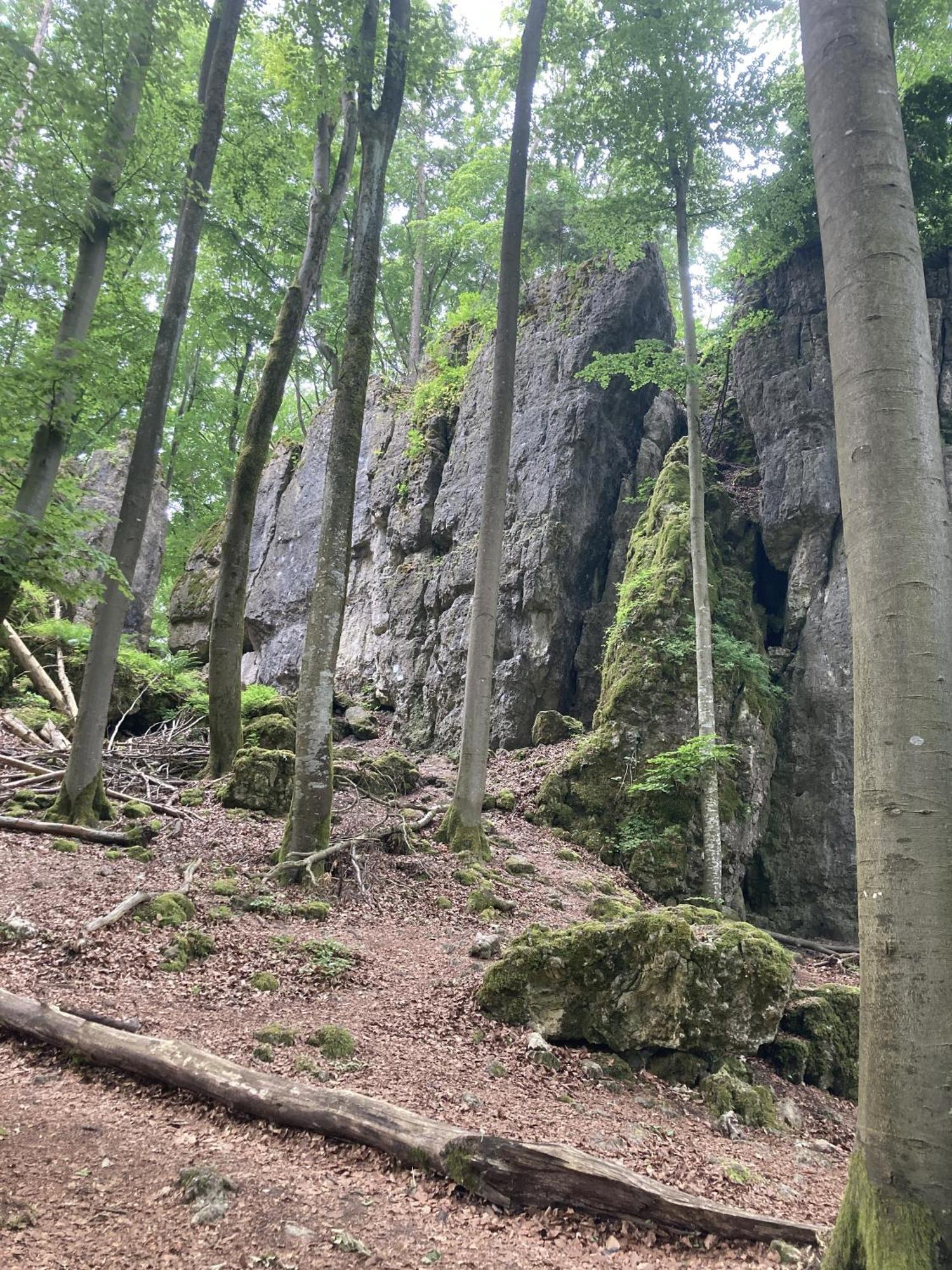 Appartamento Brunnerhof Urlaub Auf Dem Land Hartenstein  Esterno foto