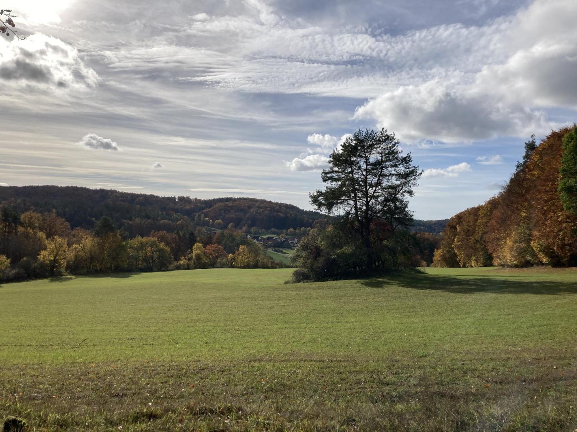 Appartamento Brunnerhof Urlaub Auf Dem Land Hartenstein  Esterno foto