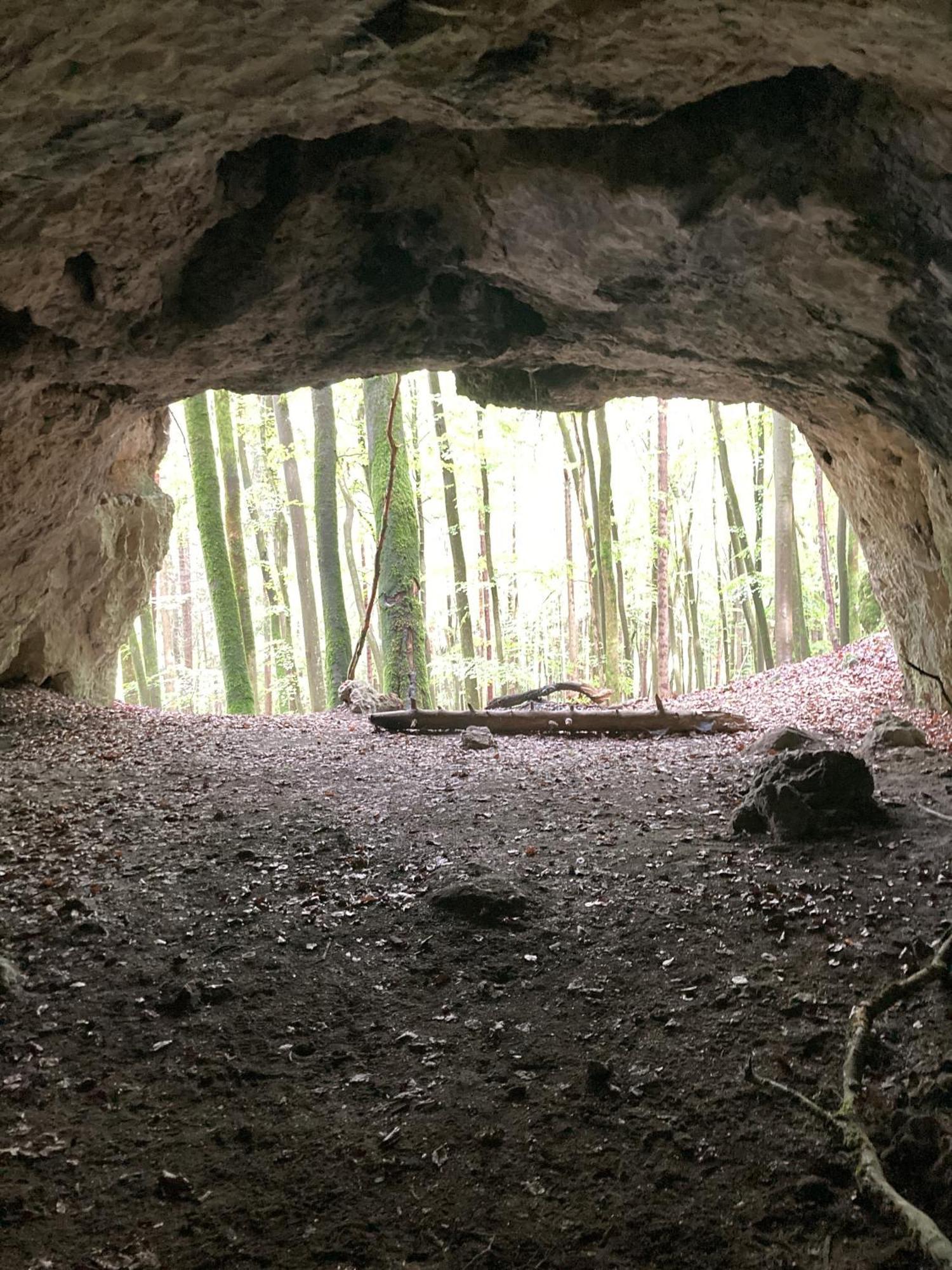 Appartamento Brunnerhof Urlaub Auf Dem Land Hartenstein  Esterno foto