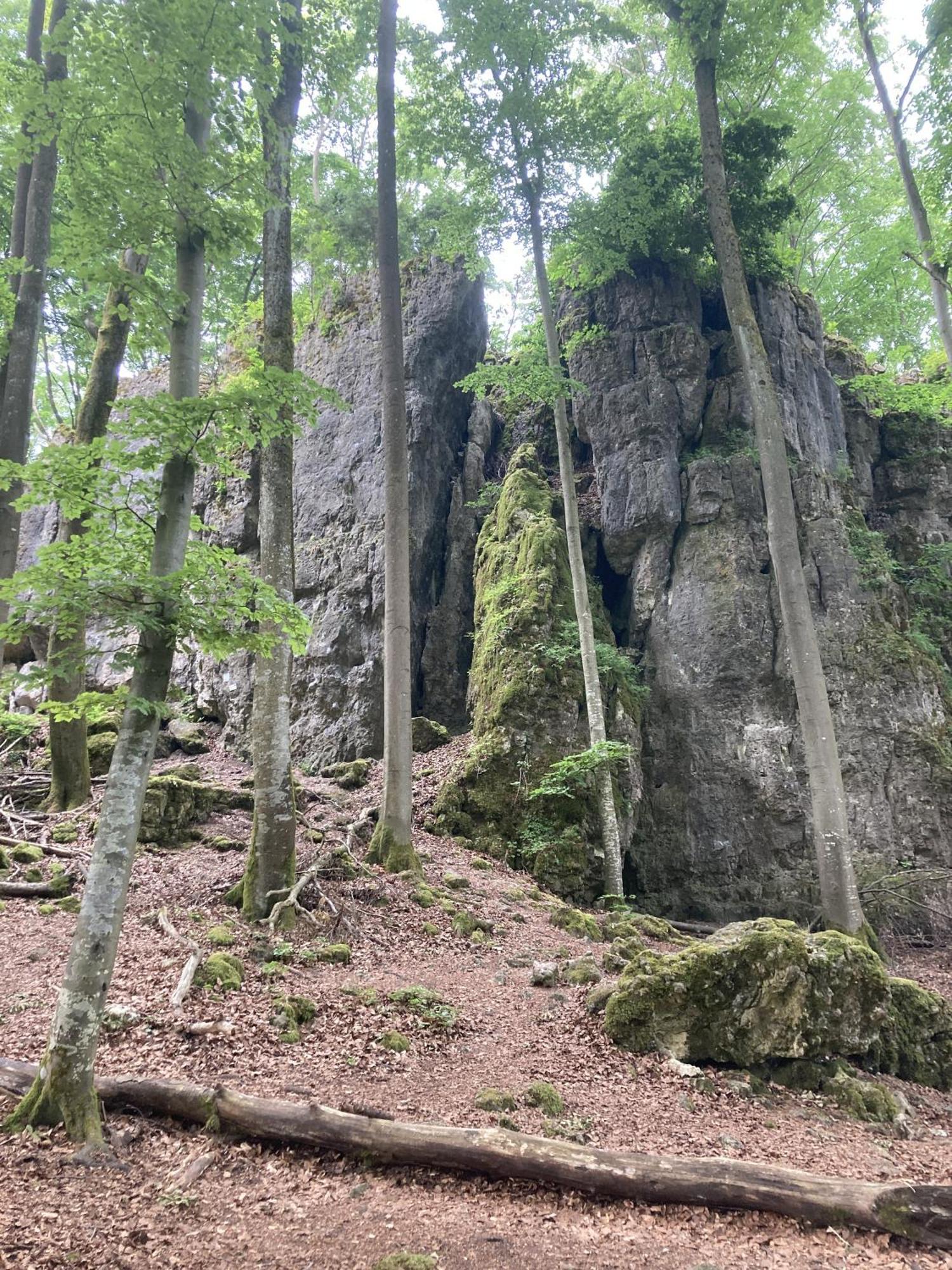 Appartamento Brunnerhof Urlaub Auf Dem Land Hartenstein  Esterno foto
